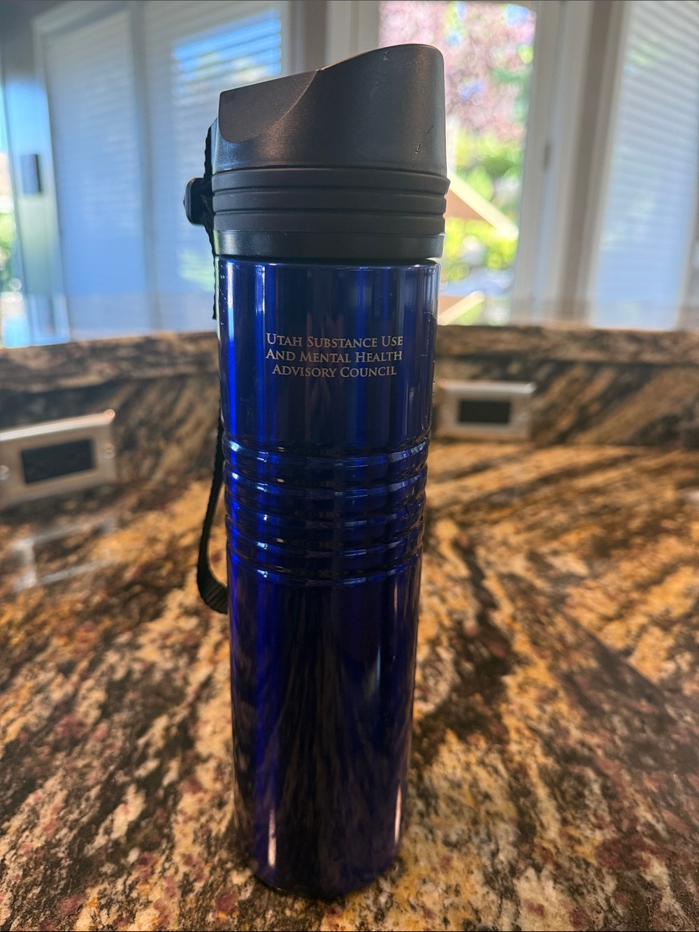24 oz thermos, metallic blue